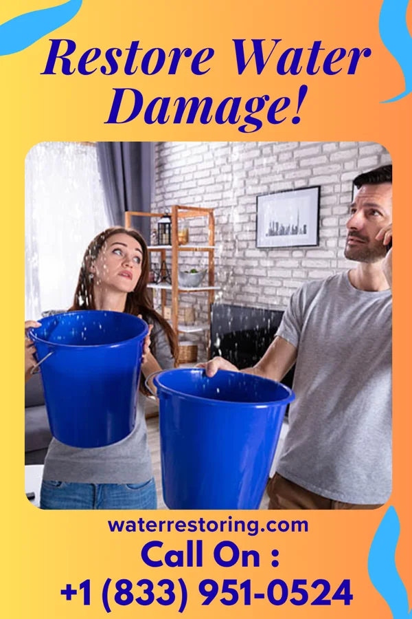water restoration Ultimate Water Damage Contractors Greenville