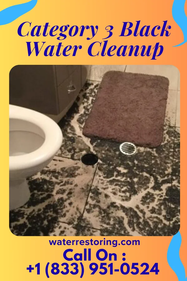 Category 3 Black Water Cleanup in Greenville, OH