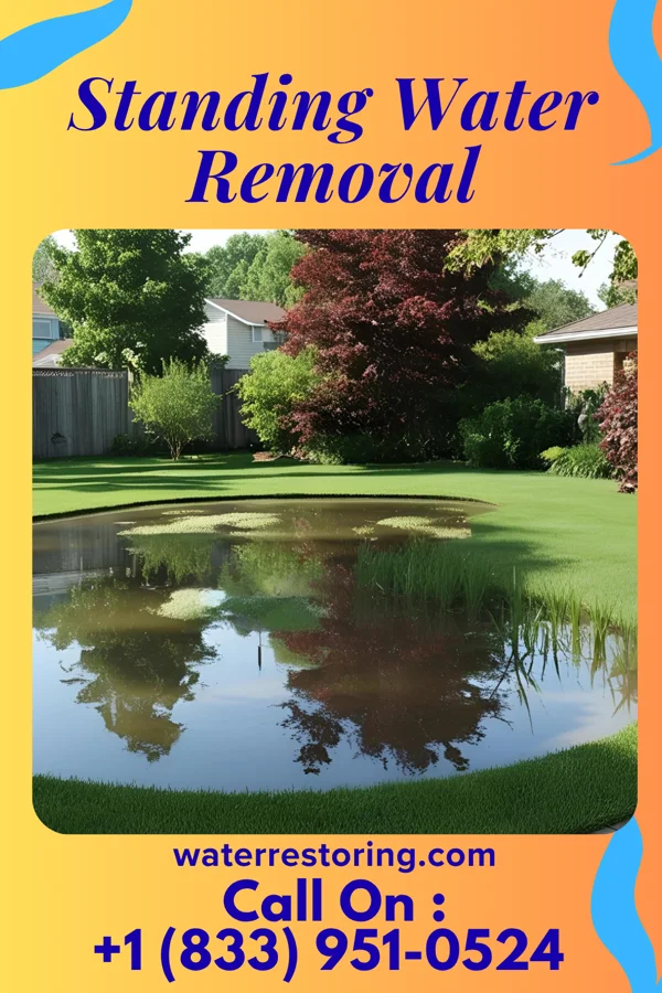 Standing Water Removal in Greenville, OH